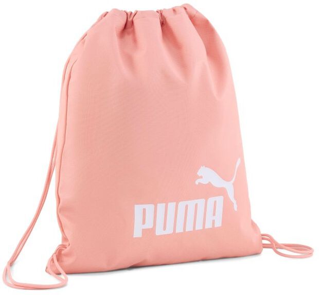 Phase Gym Sack - large