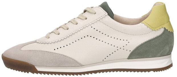 Sneakers Laag - large