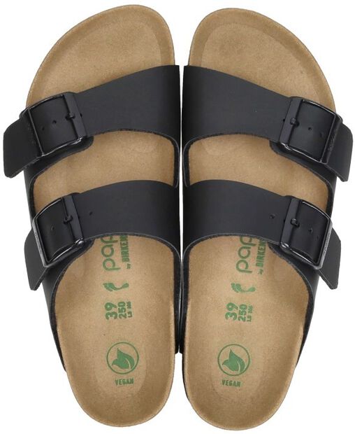 Arizona PAP Flex Platform - large