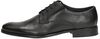 Rinaldo Comfort - small