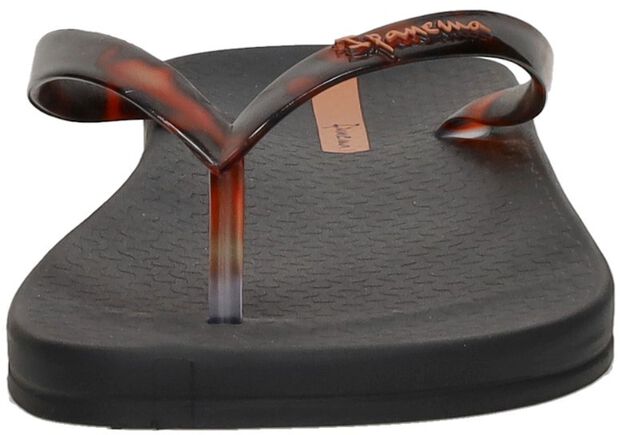 Anatomic Connect - large